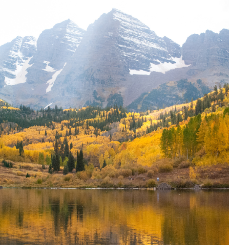 Managed IT Solutions in Denver